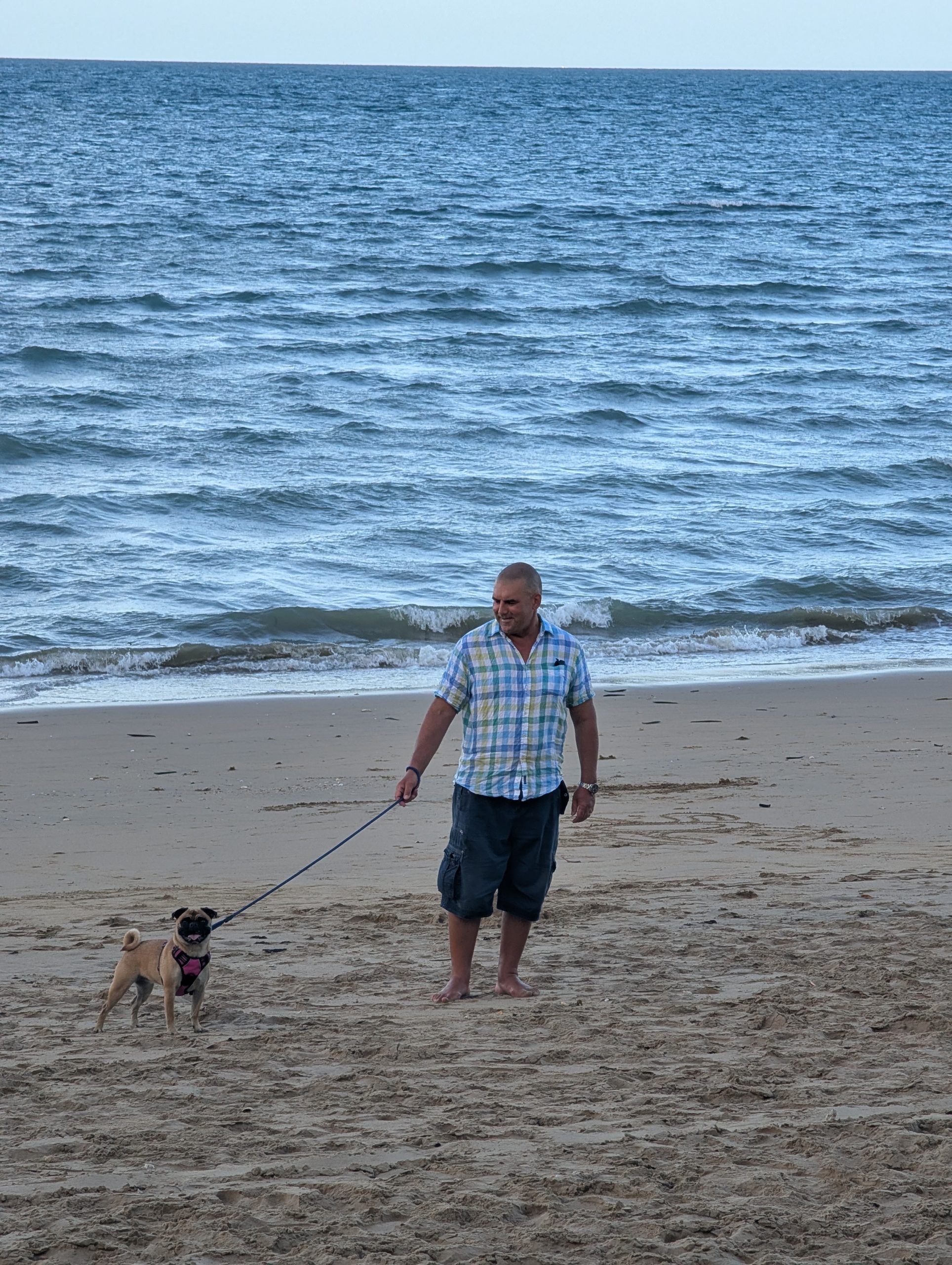 Hervey Bay beach scene